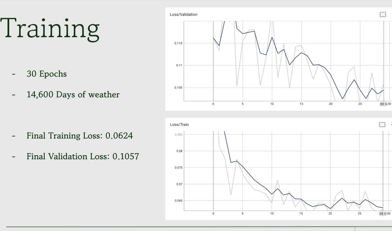 Single-location model training and validation loss curves.
